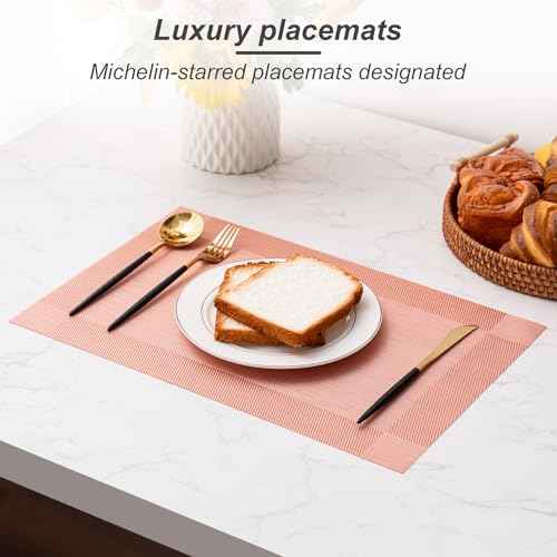 Placemats Set of 4 Washable Indoor (4 Count)
