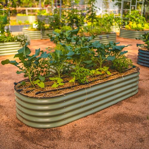 Raised Garden Bed Kits