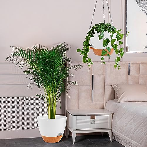 12 Inch Self Watering Hanging Planter