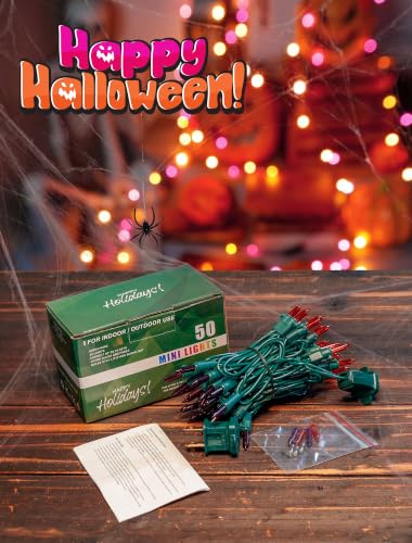 Purple & Orange Halloween Lights (13 Foot)