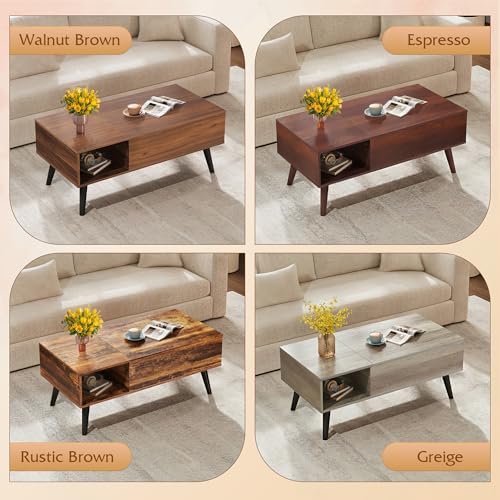 Lift Top Coffee Table with Hidden Storage