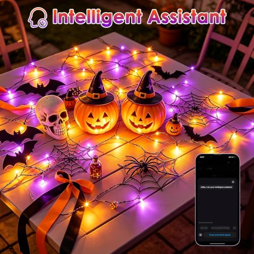 Smart Color Changing Halloween Christmas Lights 165 FT 500 LED App Remote
