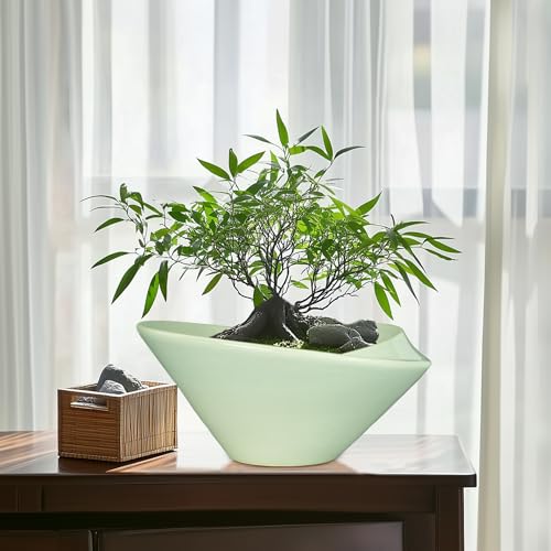 Ceramic Bonsai Pots