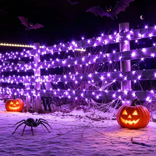 300LIGHTS 2*150L (300 Count)