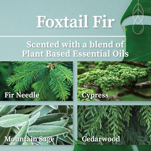 Foxtail Fir Amber & Gold Crackling Wood Wick Candle