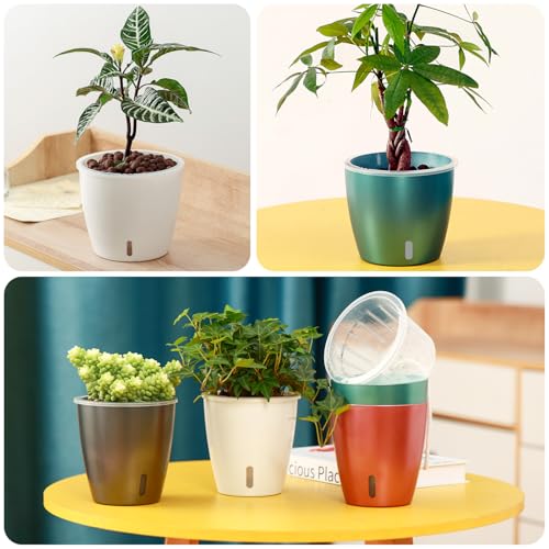 Self Watering Pots for Indoor Plants (6 Count)