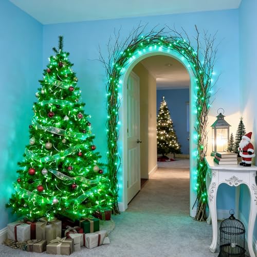 St. Patrick's Day Lights Outdoor Waterproof (1200 Count)
