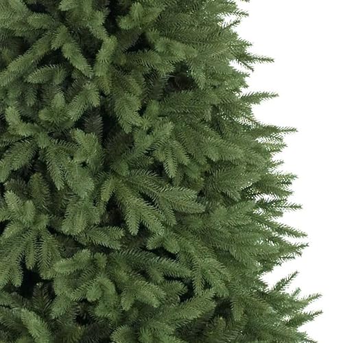 Stratford Spruce