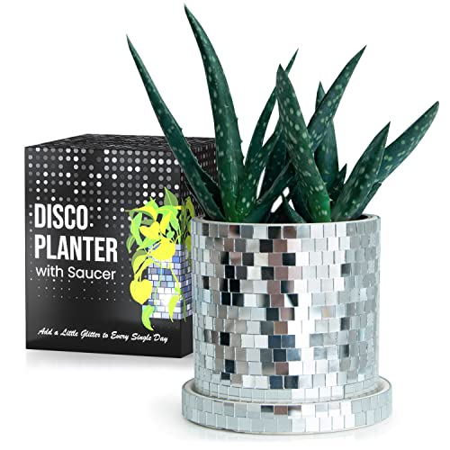 Disco Ball Planter Pot