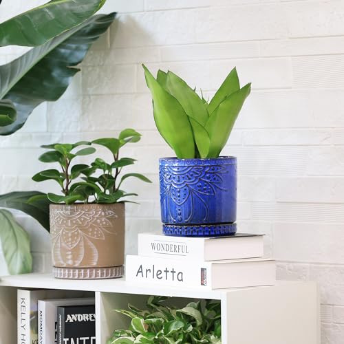 Ceramic Pots for Indoor Plants with Drainage Holes and Saucers (2 Count)