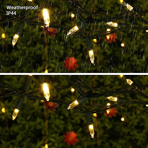 Warm White Christmas Lights Gentle Twinkle