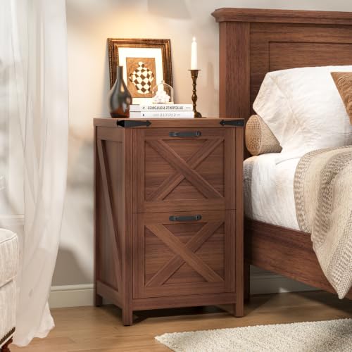 Vertical File Cabinet with 2 Drawers for Home Office