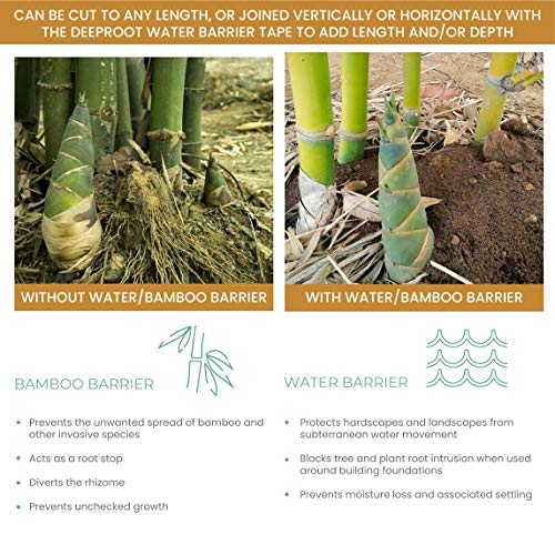 Water & Bamboo Root Barrier