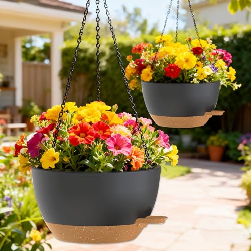 12 Inch Hanging Baskets 2 PC with Chains (2 Count)