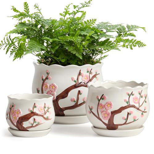 Ceramic Plant Pots with Drainage Holes and Saucers (3 Count)