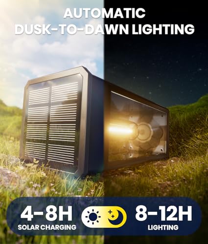 Solar Path Lights (8 Count)