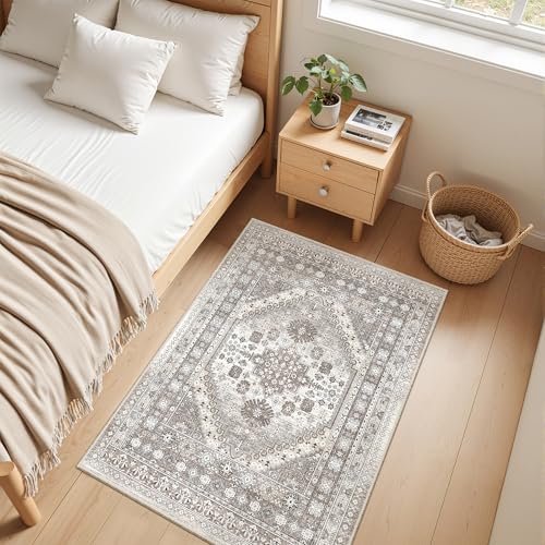2x3 Rug Non Slip
