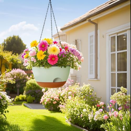 Hanging Planter for Indoor Plants (2 Count)