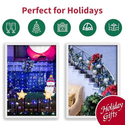 Blue White Christmas Lights Outdoor (100 Count)