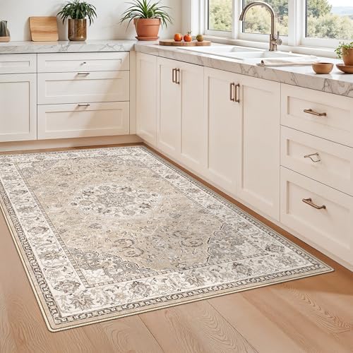 Living Room 4x6 Area Rugs (24.25 Sq Ft)