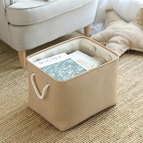 Organization and Storage Basket for Organizing (3 Count)