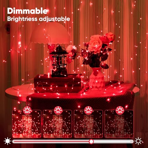 1 Pack 65.6 Ft. Battery Operated Outdoor String Lights with Remote & Timer