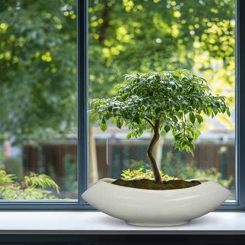 Bonsai Pots 18 Inch
