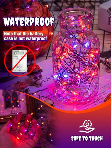2 Pack Halloween Fairy Lights Battery Operated Timer (2 Count)