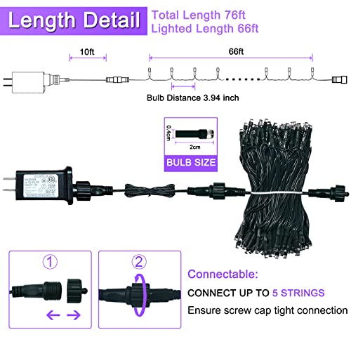 200 LED Multicolor Christmas Lights