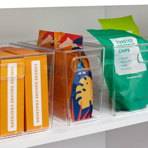 Storage Bin with Handles