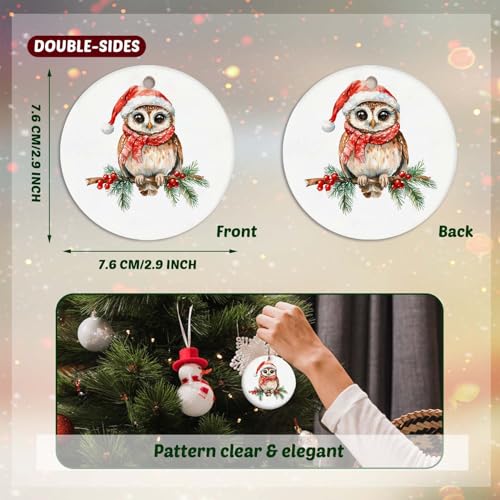 Owl Winter Ornament