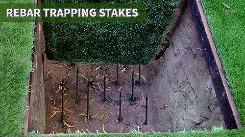 16 inches Ground Rebar Stakes (16 Count)