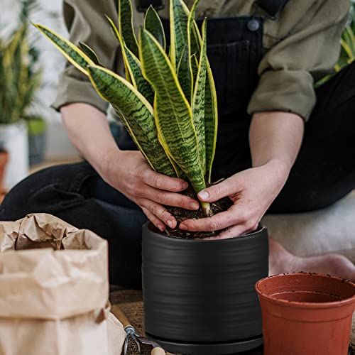 6 Inch Plant Pots