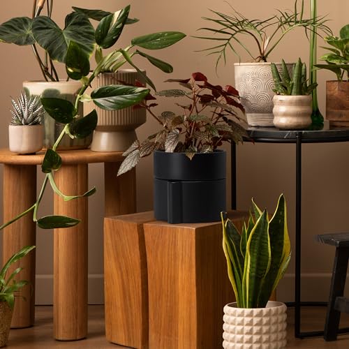8 Inch Self Watering Planter Pot with Terracotta Insert