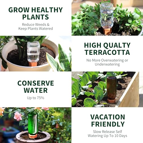 Wine Bottle Watering Spikes (8 Count)