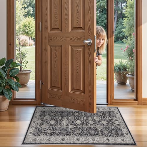 Entryway 2x4 Washable Area Rug (8 Sq Ft)