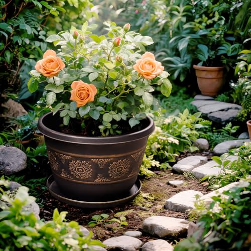 12 Inch Plant Pots (4 Count)