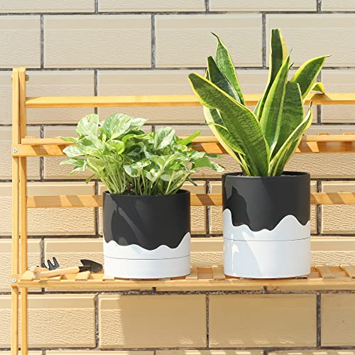 Ceramic Self Watering Plant Pot for Indoor Plants