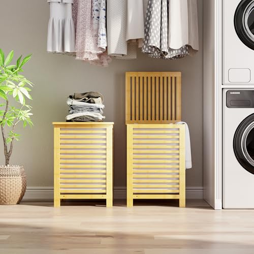 Double Laundry Hamper with Lid