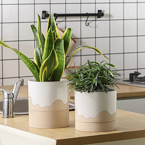 Ceramic Plant Pot