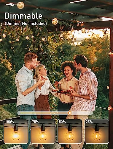 Outdoor String Lights (40 Count)
