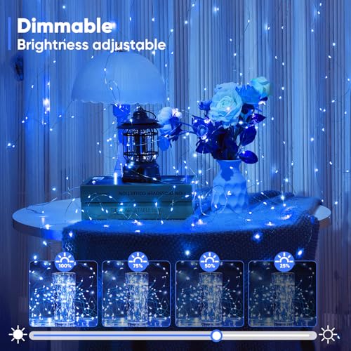 1 Pack 16.4 Ft. Battery Operated Outdoor String Lights with Remote & Timer