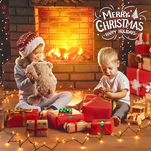 100 Christmas Lights (100 Count)