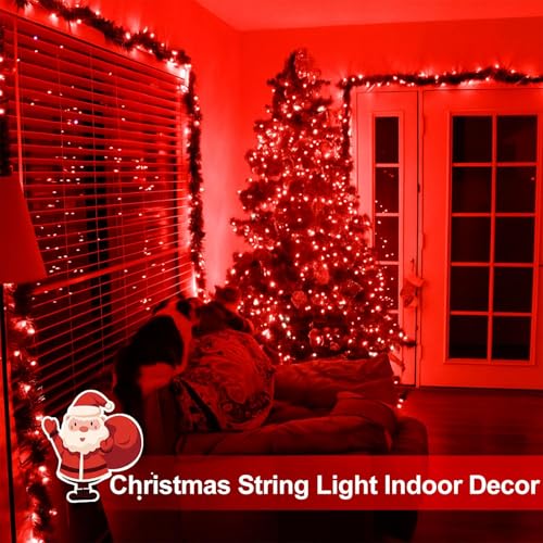 Solar Fairy Lights (2 Count)