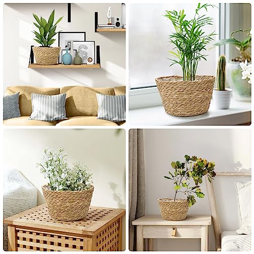 Woven Plant Basket Set of 3 with Plastic Liner (3 Count)
