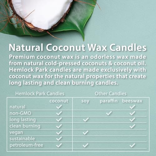 Palo Santo Mountain Sage Crackling Wood Wick Candle