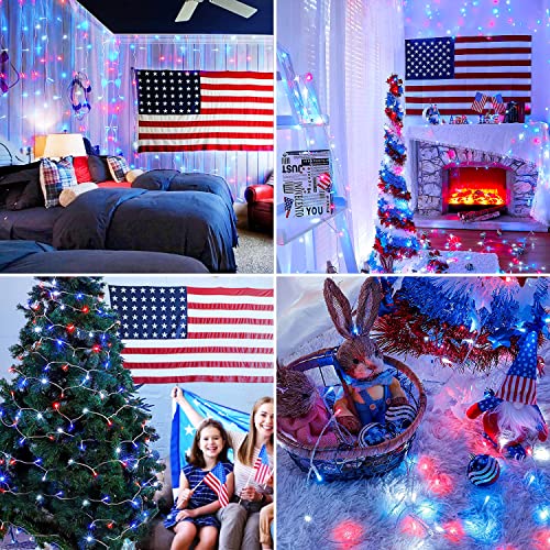 Red White and Blue Lights (66 Foot)