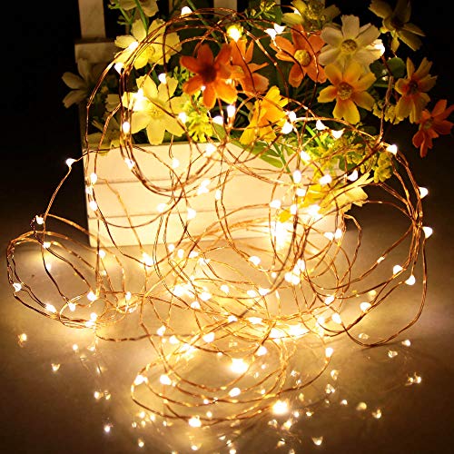Led Fairy Lights Battery Operated (64 Foot)