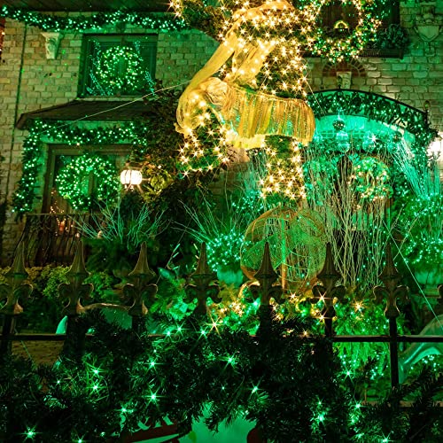 Green Christmas Lights (20 Foot)