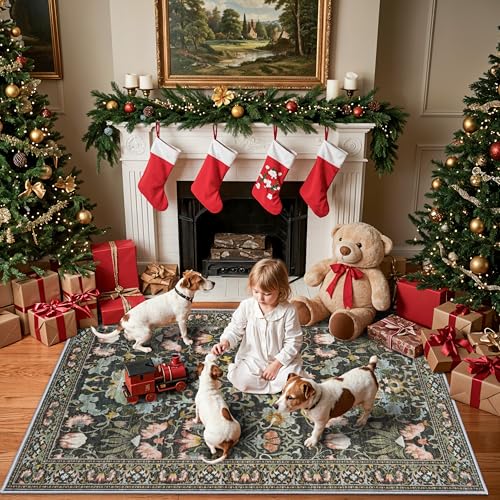 Washable 4x6 Bedroom Rug for Family (24 Sq Ft)